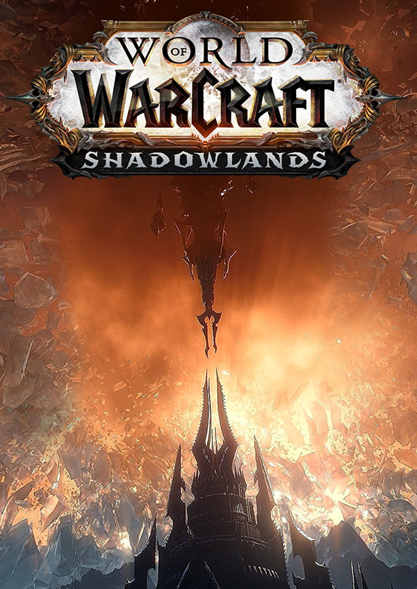 World of Warcraft holding